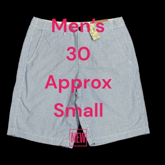 Men's American Eagle AEO 30 Small Shorts Pin Stripes Blue White Chino Khakis NWT - Picture 1 of 9